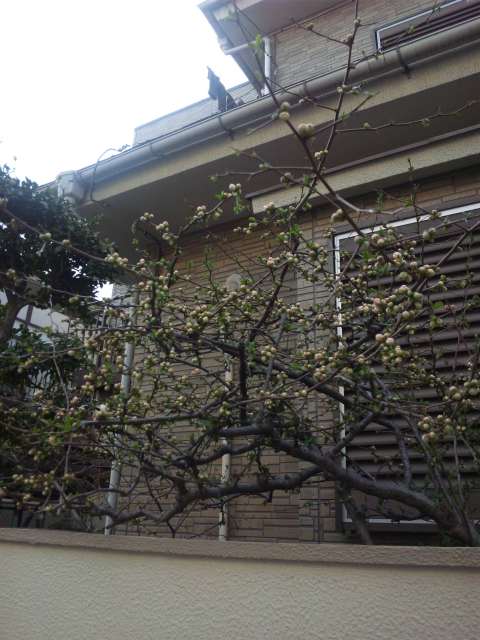 120401_160019.jpg