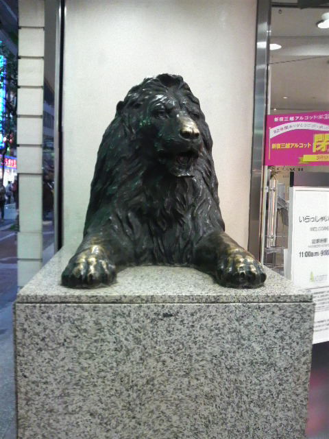 2012033117250000.jpg