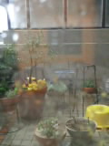 CA3K004800010001.jpg