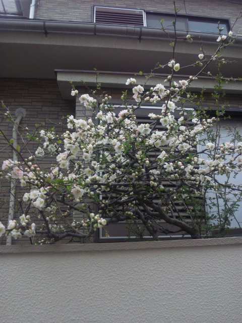 120407_144750.jpg