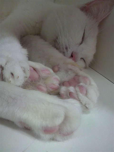 2012042819340000.jpg