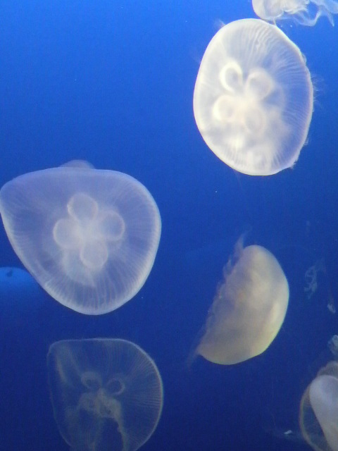2011020714520004.jpg