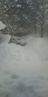 20120219154240.jpg