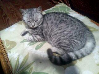 20130222_210147.jpg