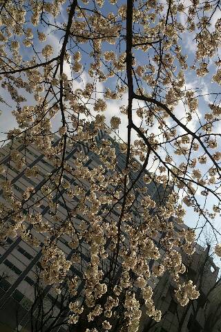 shareimage20130323_233031.jpg