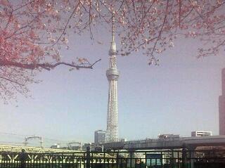 20130405_060130.jpg