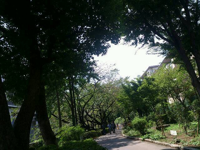 shareimage20130831_004301.jpg