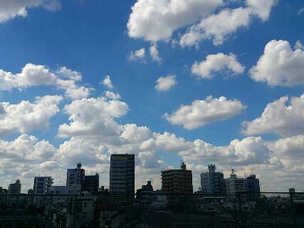img20130913_145212.jpg