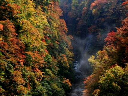 img20131030_125521.jpg