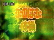 nanohana4.jpg