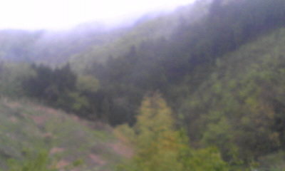 Image305.jpg