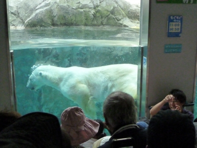 旭山動物園