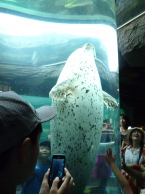 旭山動物園