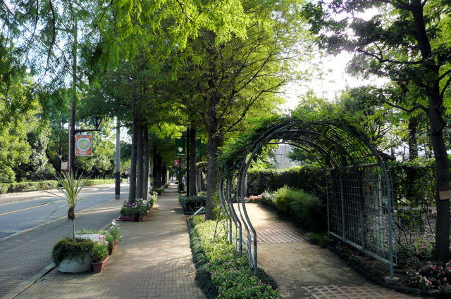 P1190055.JPG