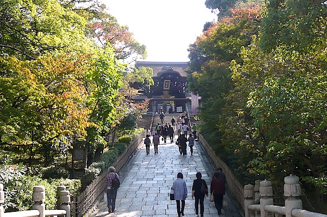 P1190165A.jpg