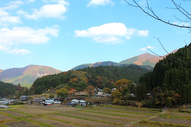 IMG_6265A.jpg