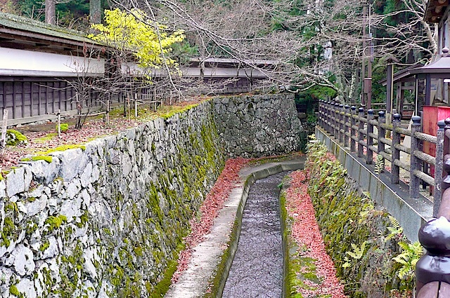 P1210428A.jpg