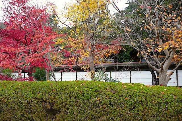 P1210455A.jpg