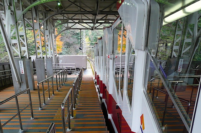 P1210521A.jpg