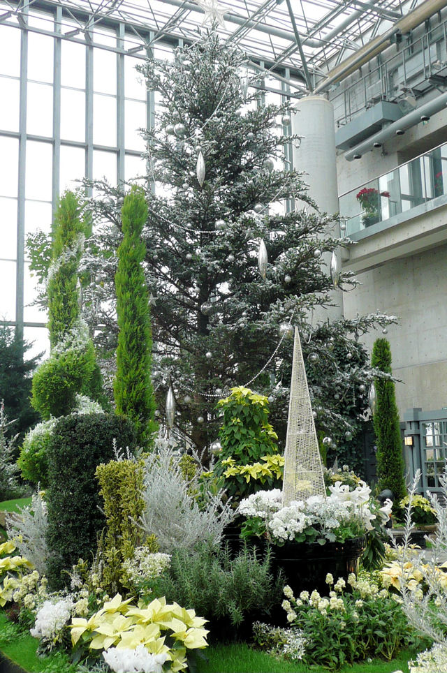 P1010577A.jpg