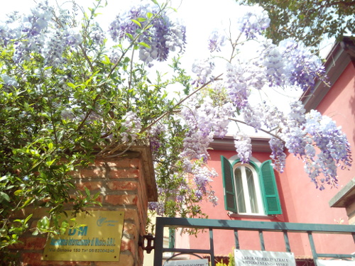 in Rom