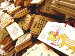 kyoto 8