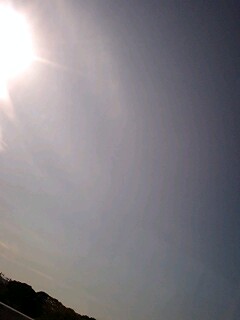081123_1313~0001.jpg