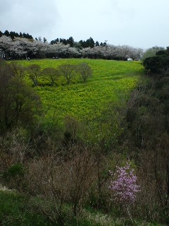 100410_1443~01.jpg