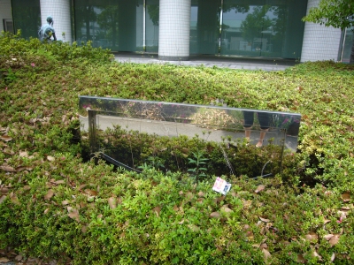 看板