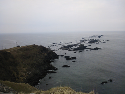 DSC_0894.jpg