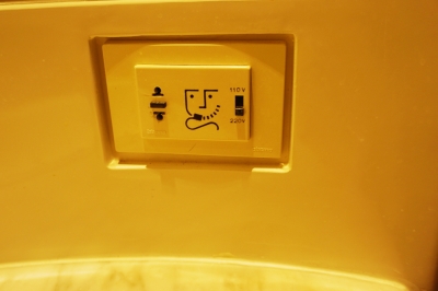 ¥³¥¹¥¿¥Ó¥¯¥È¥ê¥¢ÅŸ»¥×¥é¥°