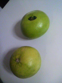 2010120616140000.jpg