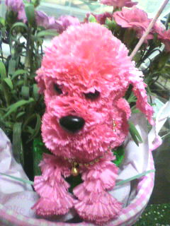 2011051018050000.jpg