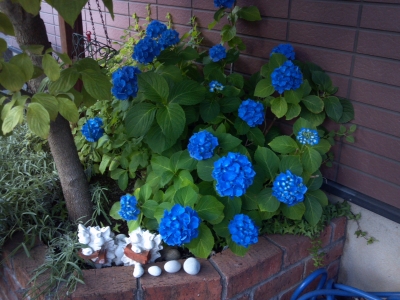 2012-06-18 17.29.38.jpg