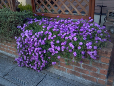 2012-06-18 17.29.49.jpg