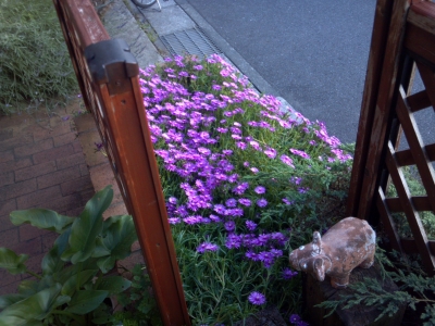 2012-06-18 17.30.15.jpg