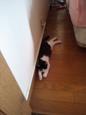 2012-07-16 08.02.32.JPG