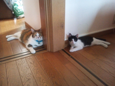 2012-07-16 09.13.52.JPG