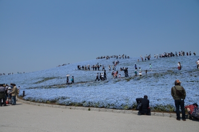 DSC01317.JPG