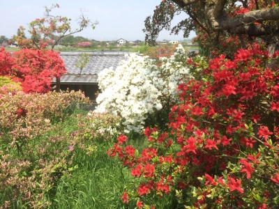 2015-04-25 11.48.21.jpg