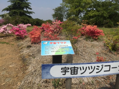 2015-04-25 12.08.47.jpg