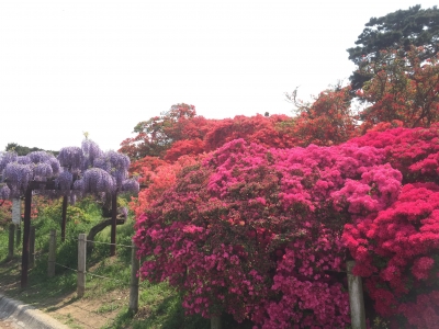 2015-04-25 12.18.22.jpg