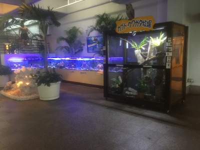 2016-01-03 14.51.21.jpg