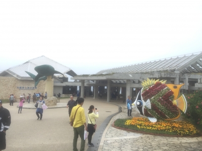 2016-01-04 11.38.41.jpg