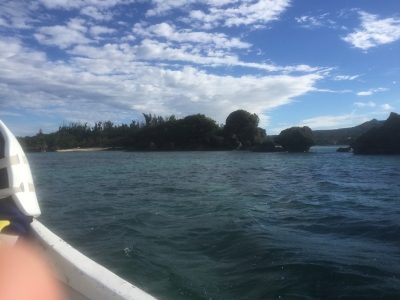 2016-01-05 09.43.31.jpg