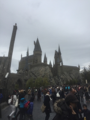 2016-01-30 11.05.51.jpg