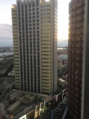 2016-01-30 17.25.31.jpg