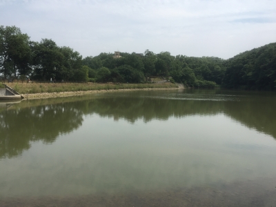 2016-05-29 12.59.05.jpg