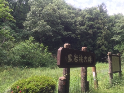 2016-05-29 13.08.46 HDR-2.jpg