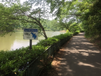 2016-05-29 13.18.22.jpg